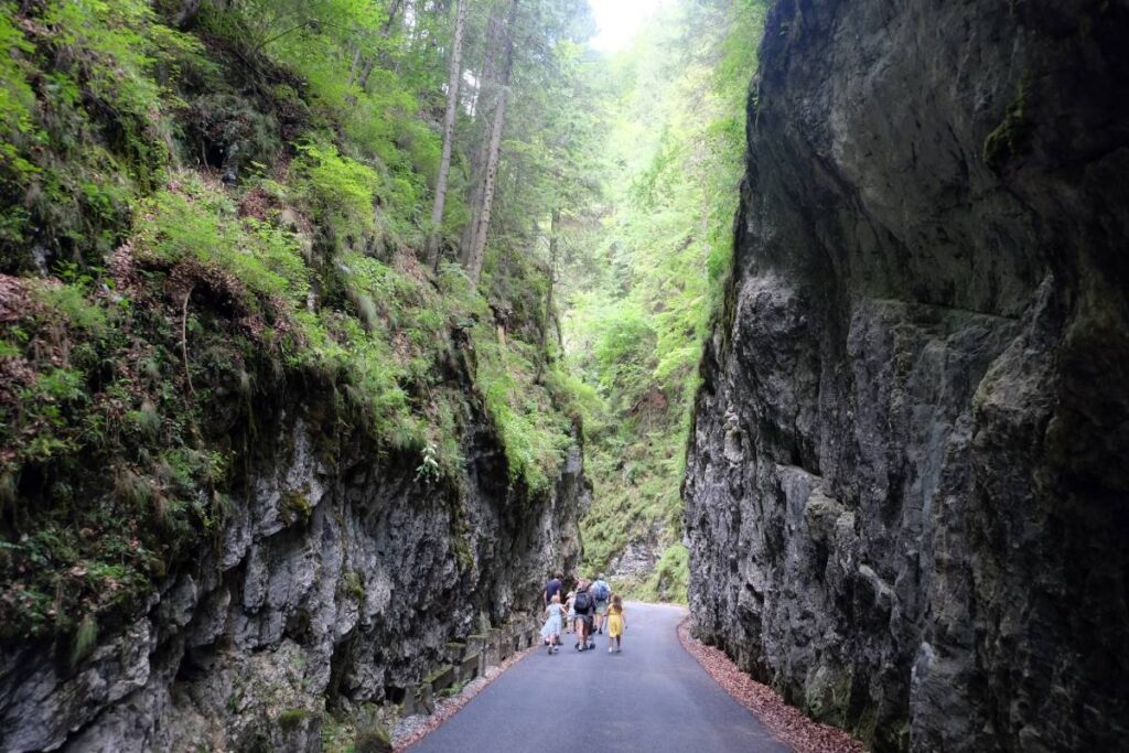 Visiter la Transylvanie en famille : Randonner dans les gorges de Brusturet ©Etpourtantelletourne.fr