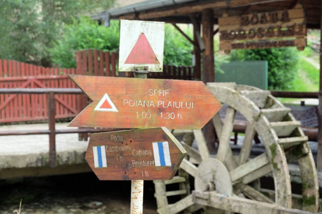 Visiter la Transylvanie en famille : Randonner dans les gorges de Brusturet ©Etpourtantelletourne.fr