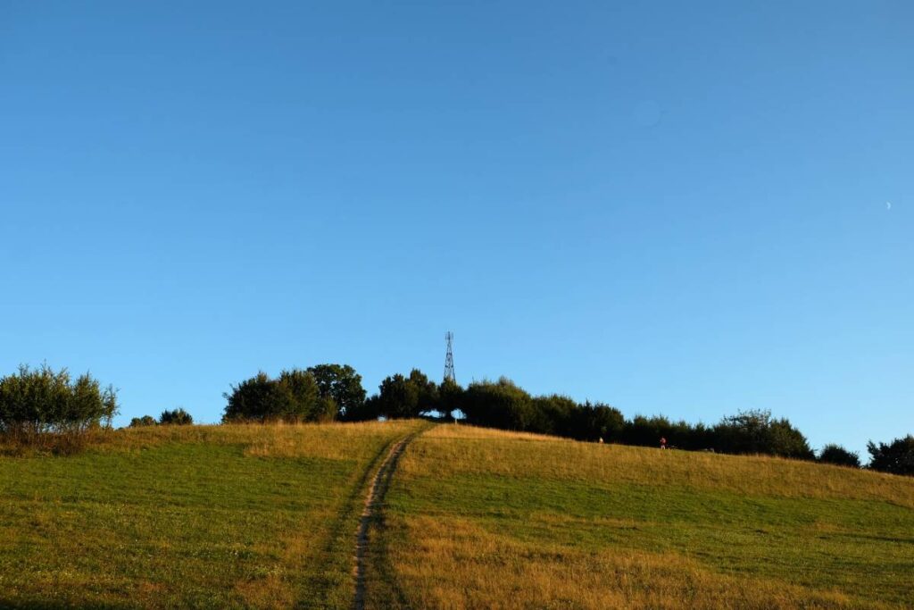 Visiter Sighisoara en famille : colline de l'observatoire ©Etpourtantelletourne.fr