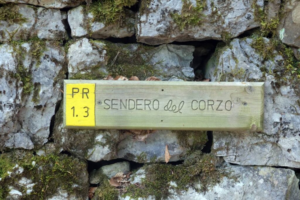 Randonnée à Canfranc - sentier del Corzo ©Etpourtantelletourne.fr