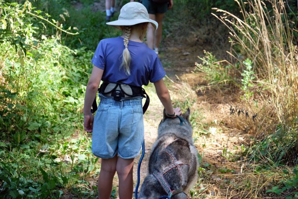 Festival Les Petits Baroudeurs : cani-rando ©Etpourtantelletourne.fr