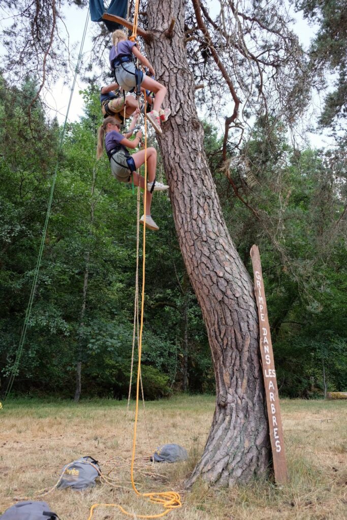Festival Les Petits Baroudeurs : grimpe d'arbres ©Etpourtantelletourne.fr