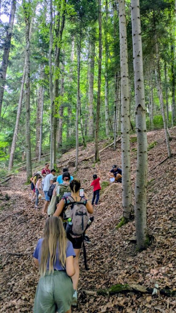 Festival Les Petits Baroudeurs : balade en forêt ©Etpourtantelletourne.fr