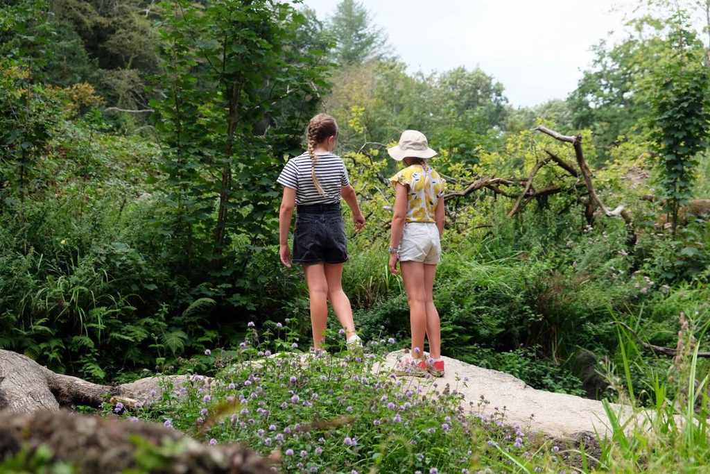 4 jours en van et en famille en Bretagne : forêt de Huelgoat  ©Etpourtantelletourne.fr