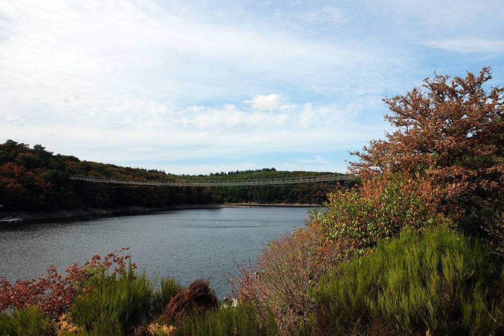 4 jours en van et en famille en Bretagne : passerelle lac de Guerlédan  ©Etpourtantelletourne.fr