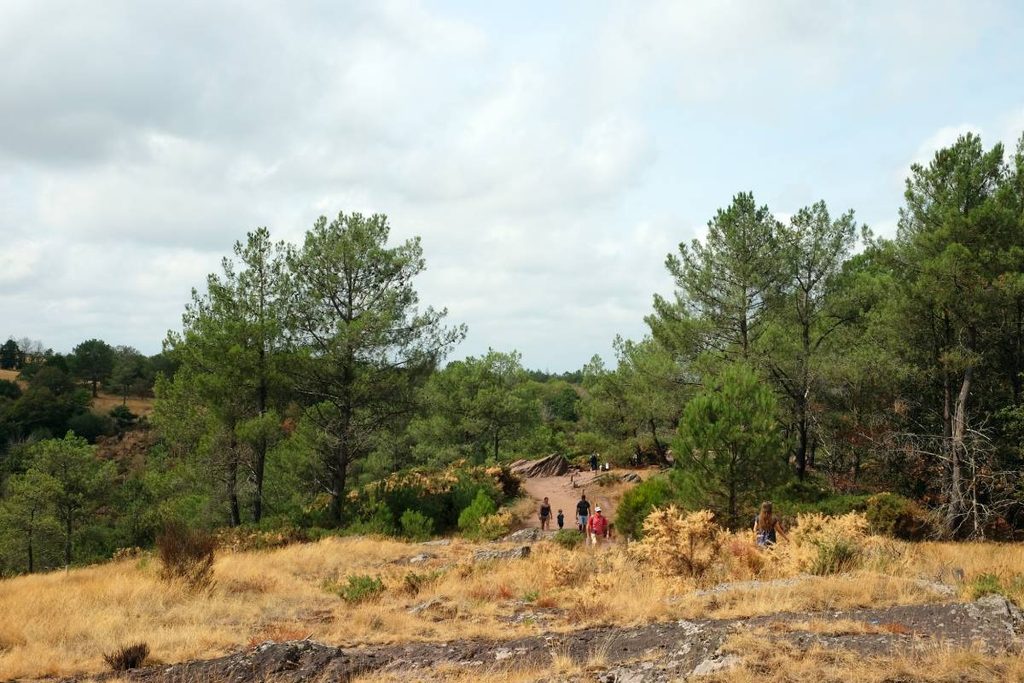 4 jours en van et en famille en Bretagne : forêt de Brocéliande - siège de Merlin ©Etpourtantelletourne.fr