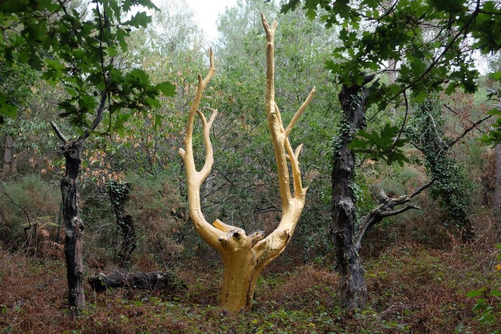 4 jours en van et en famille en Bretagne : forêt de Brocéliande - arbre d'Or ©Etpourtantelletourne.fr