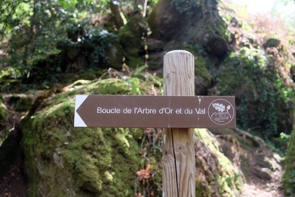 4 jours en van et en famille en Bretagne : forêt de Brocéliande - randonnée arbre d'or ©Etpourtantelletourne.fr